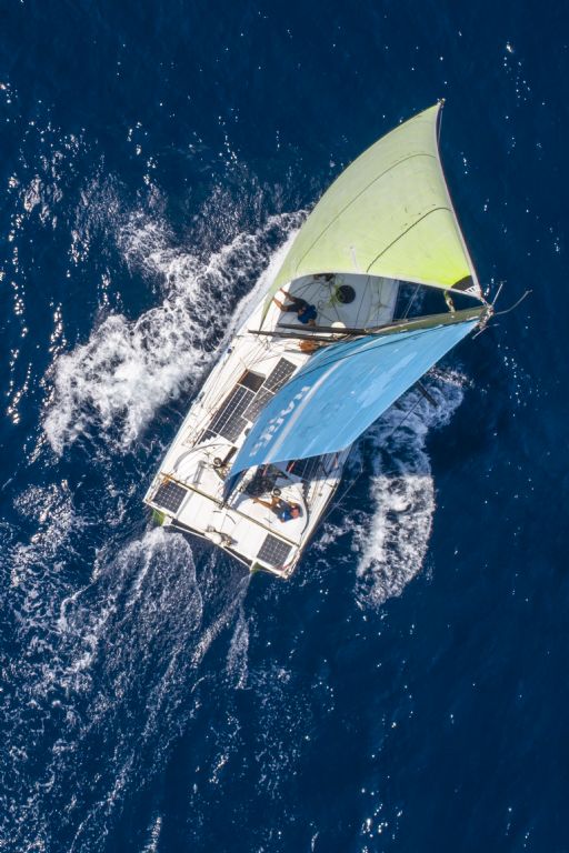 Regata Palermo Montecarlo